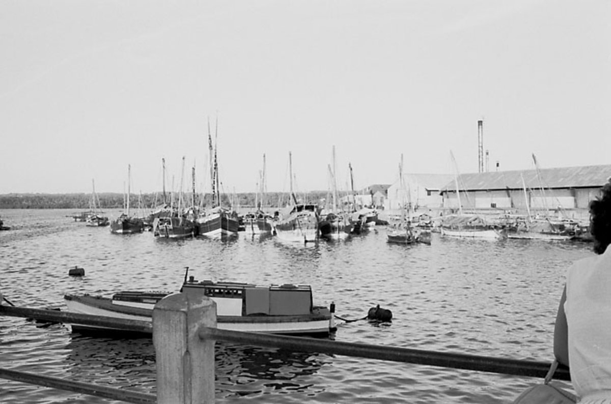 EU: Afrikaresa, Zanzibar - harbour with dhows and warehouse (1961), Zanzibar (Stone Town), Tanzania, 1961