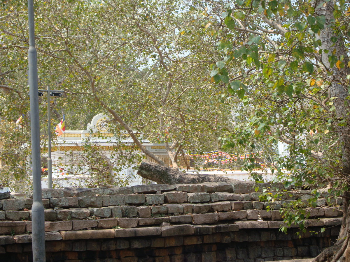 Anuradhapura - Sri Lanka, Anuradhapura, Sri Lanka, 2010