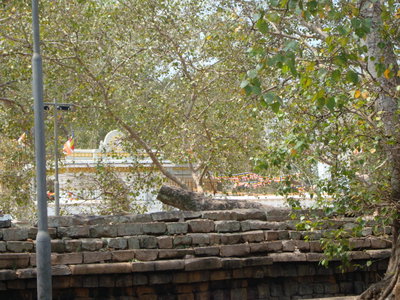 Anuradhapura - Sri Lanka, Anuradhapura — photos through time