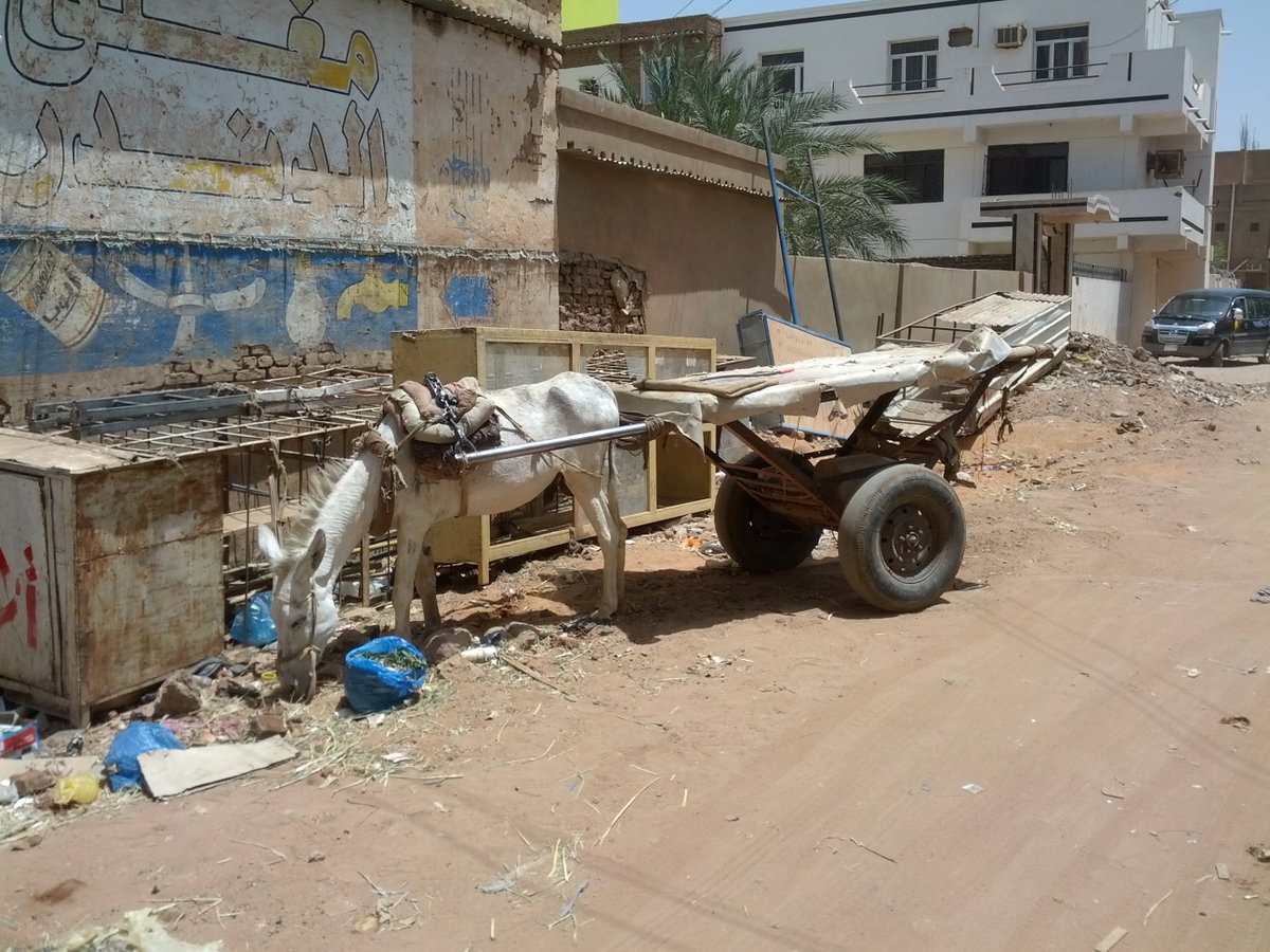 Khartoum Street, Khartoum, Sudan, 2013