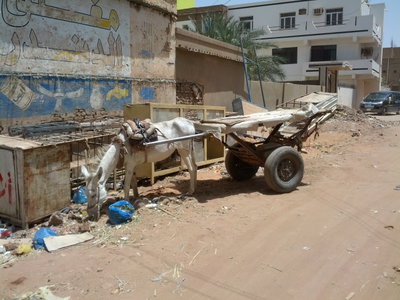Khartoum Street, Khartoum, 2013