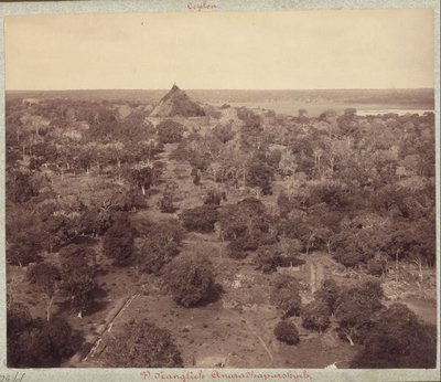 EU: Landscape in the vicinity of Anuradhapura (1890), Anuradhapura, 1890