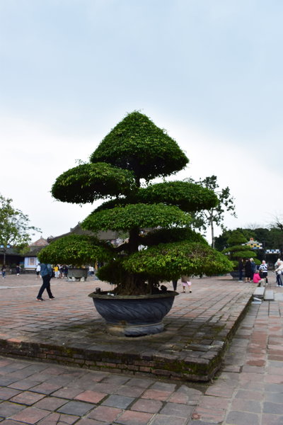 Inside the Purple Forbidden City, Huế, Hue, 2018