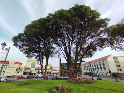 Parque Orellana Pumaqchupan 06, Cusco, 2023
