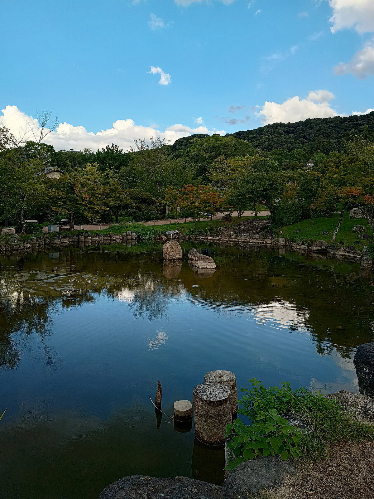 Maruyama kōen, Kyoto, Japan, 2023