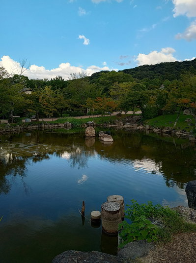 Maruyama kōen, Kyoto, 2023
