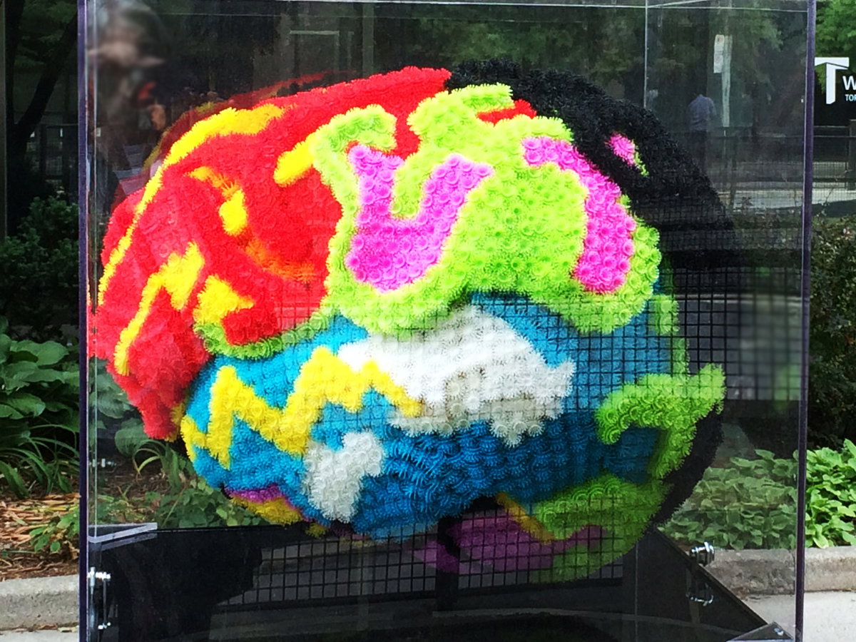 Brain Project, Toronto, Canada, 2016