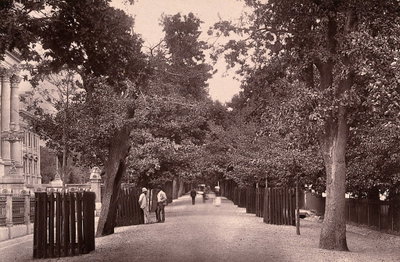 EU: Cape Town, South Africa: Government Avenue. Woodburytype, after a photograph by Robert Harris (1888), Cape Town, 1888
