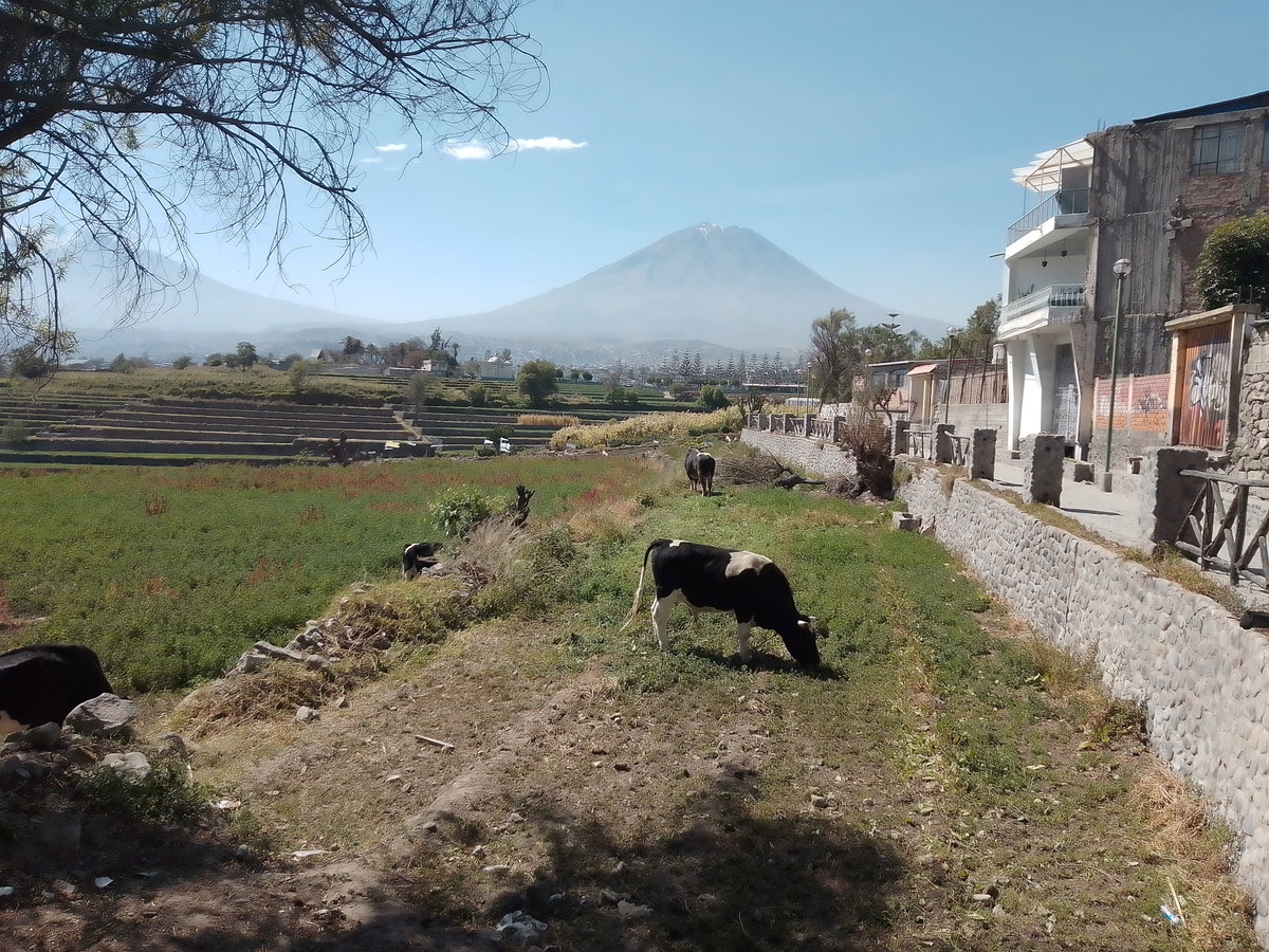 Campiña tipica fondo Volcan Misti Arequipa, Arequipa, Peru, 2022