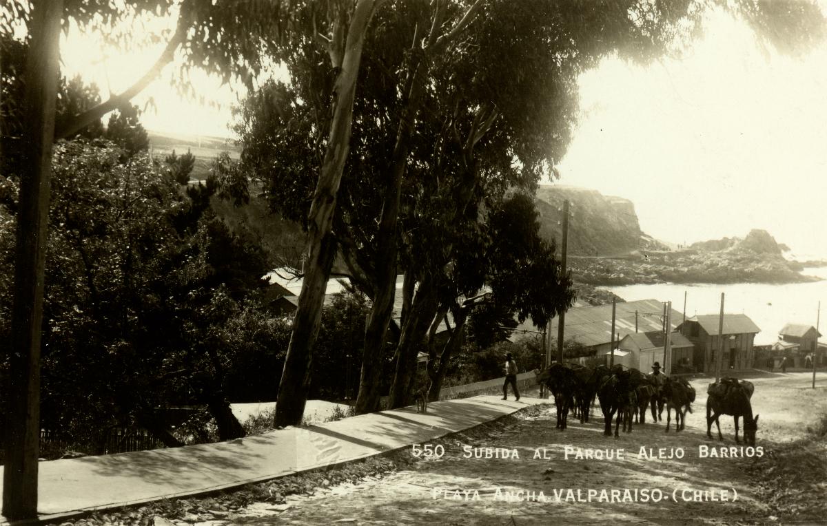 EU: Subida al Parque Alejo Barrios, Playa Ancha, Valparaíso (1930), Valparaíso, Chile, 1930