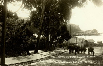 EU: Subida al Parque Alejo Barrios, Playa Ancha, Valparaíso (1930), Valparaíso, 1930