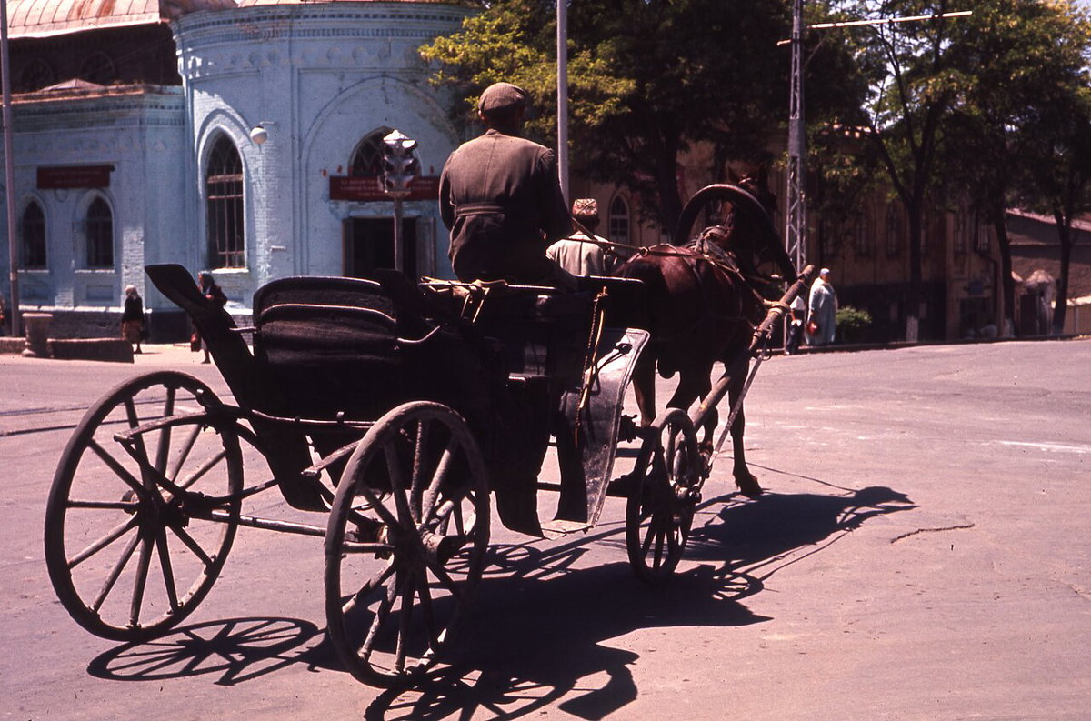 A horse drawn buggy in Samarkand, Uzbekistan, Samarkand, Uzbekistan, 1964