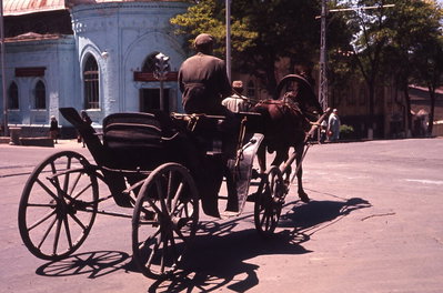 A horse drawn buggy in Samarkand, Uzbekistan, Samarkand, 1964