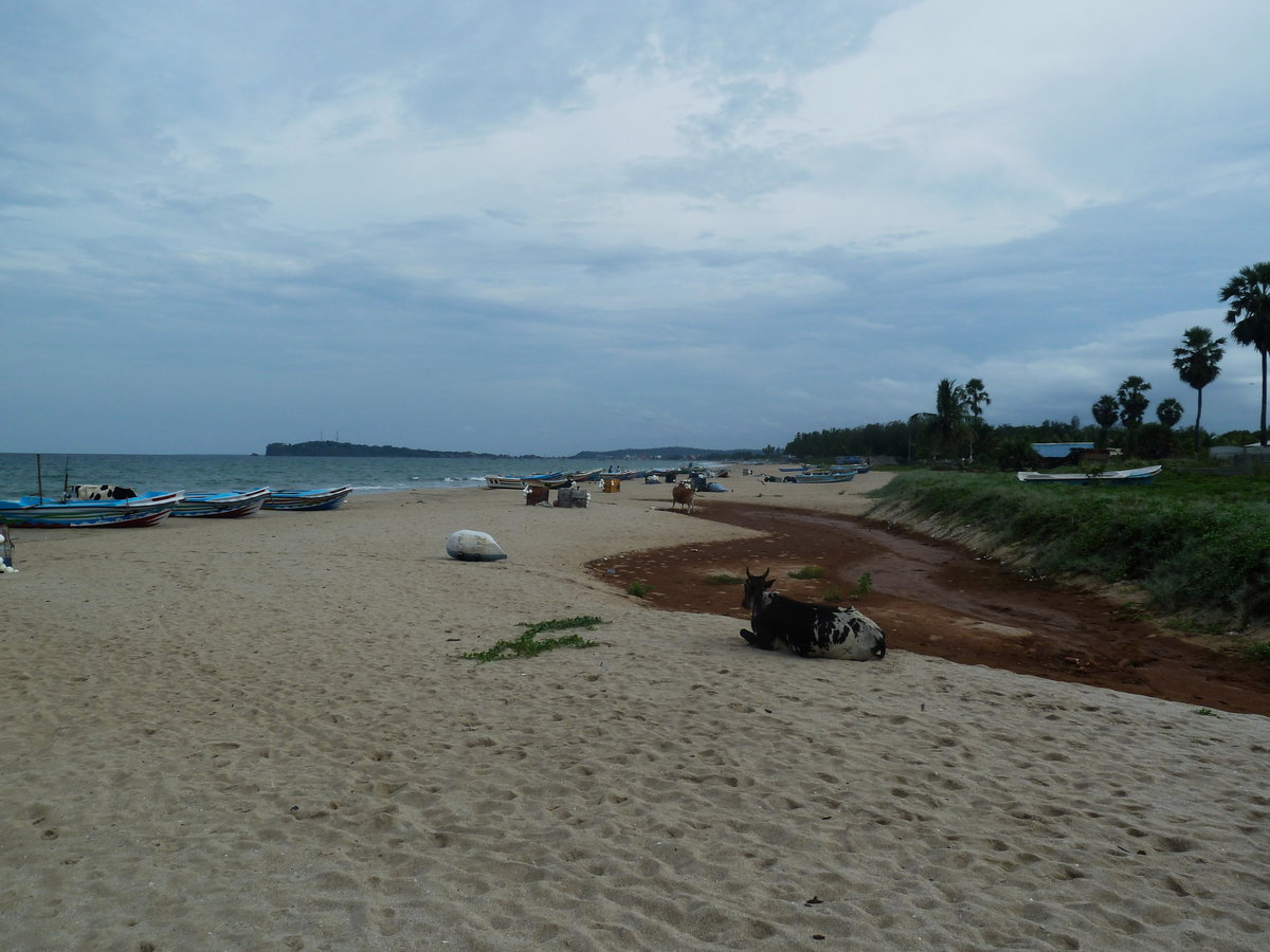 Trincomalee, la plage des pêcheurs, Trincomalee, Sri Lanka, 2015