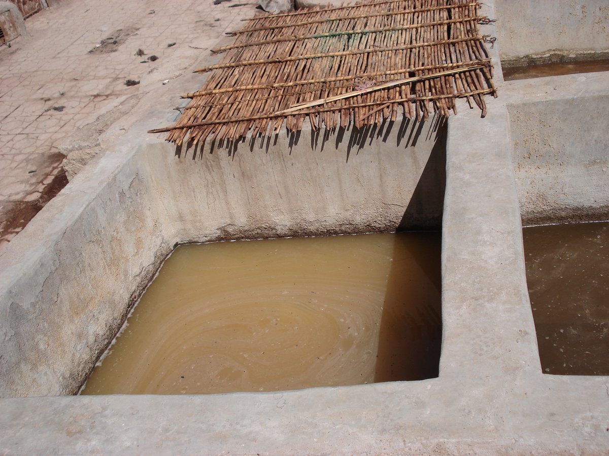 Marrakech tanneries, Marrakech, Morocco, 2006