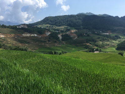 Rice terraces in Sa Pa 05, Sa Pa — photos through time