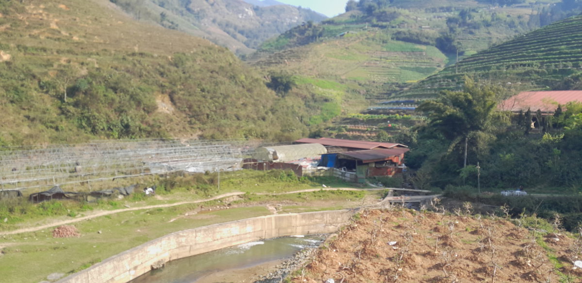 Ham Rong, Ta Phin, QL.4D.Sa Pa, rice fields (47118), Sa Pa, Vietnam, 2025