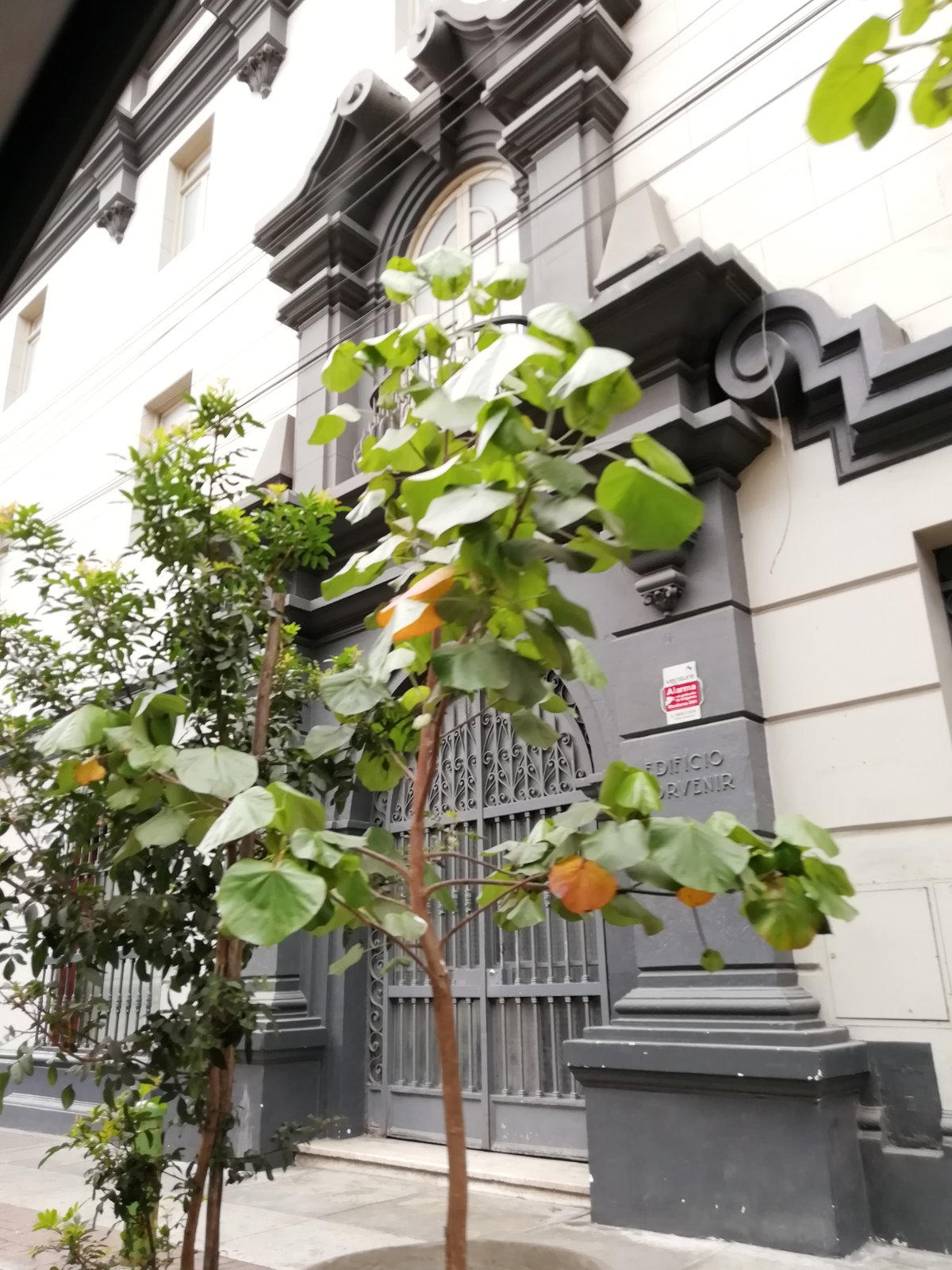 Calle Cantuarias-Edificio Porvenir-Miraflores, Miraflores, Lima, Peru, 2020