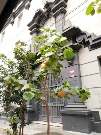Calle Cantuarias-Edificio Porvenir-Miraflores, Miraflores, 2020