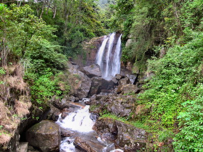 Flickr - ronsaunders47 - SRI LANKAN WATERFALLS. 1, Kandy, 2010