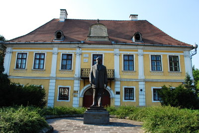 RO MS Tg Mures Teleki house, Targu Mures, 2009