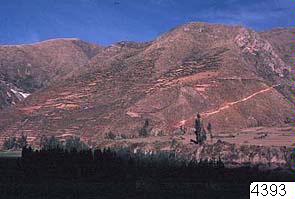 EU: terrassodlingar, fotografi, photograph (1980), Cusco, 1980