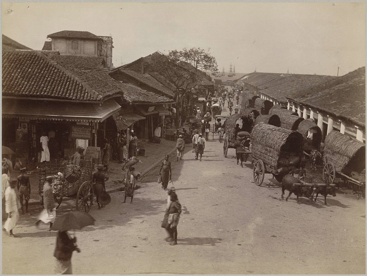 EU: Street Scene with Covered Wagons in Pettah, Colombo (1900), Colombo, Sri Lanka, 1900