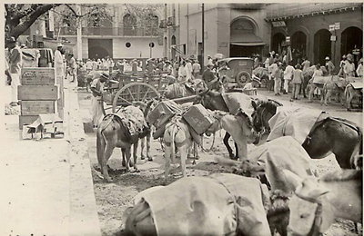 Plaza San Jacinto, Caracas, Caracas, 1895