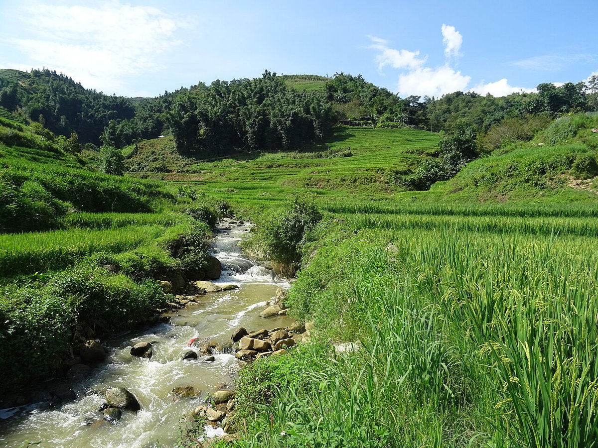 Rice terraces in Sa Pa 04, Sa Pa, Vietnam, 2018