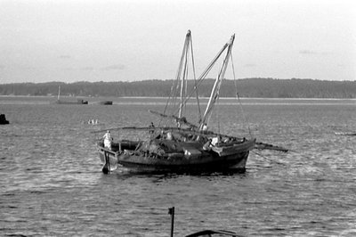 EU: Afrikaresa, Zanzibar - dhow at anchor (1961) - Hpib, Zanzibar City, 1961