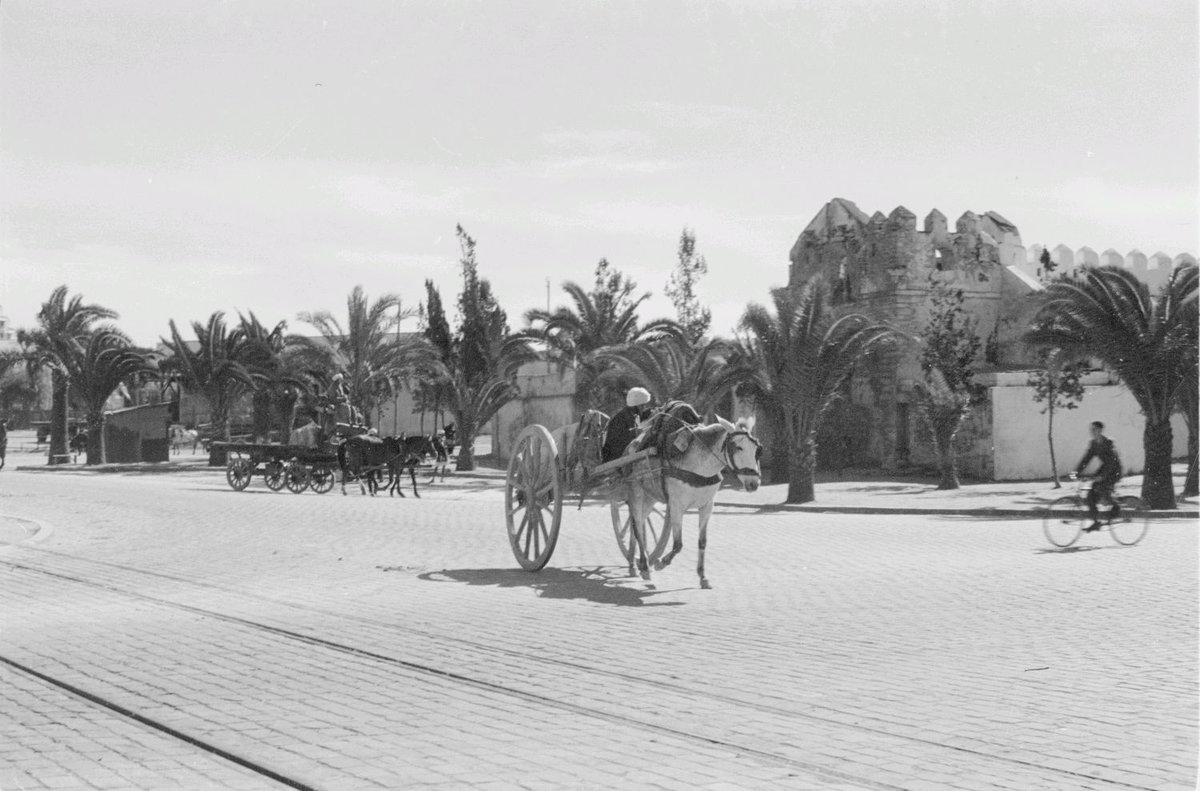 EU: Reisefotos Marokko. Straßenbild mit Pferdekarren (wahrscheinlich in Casablanca) (1939), Casablanca, Morocco, 1939