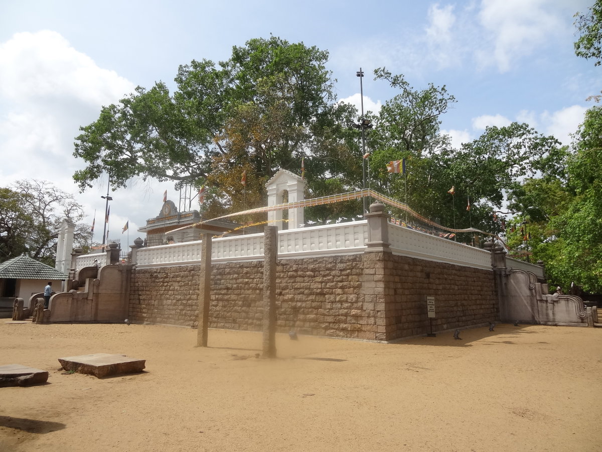 Jaya Sri Maha Bodhi 17, Anuradhapura, Sri Lanka, 2013