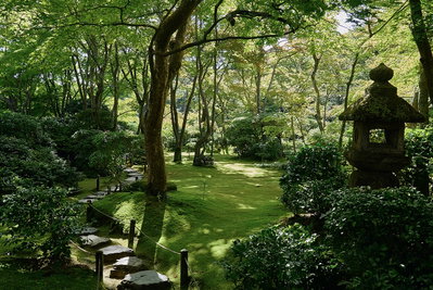 Kyoto, Japan, Kyoto, 2016