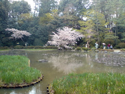Kyoto Imperial Shrine Park, Kyoto, 2008