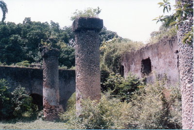 Marhubi ruins, Zanzibar (Stone Town), 2008