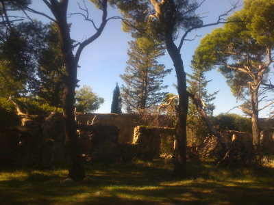 Bosanka, Dubrovnik, 2012