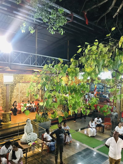 Bo Tree in Poya day, Colombo, 2019