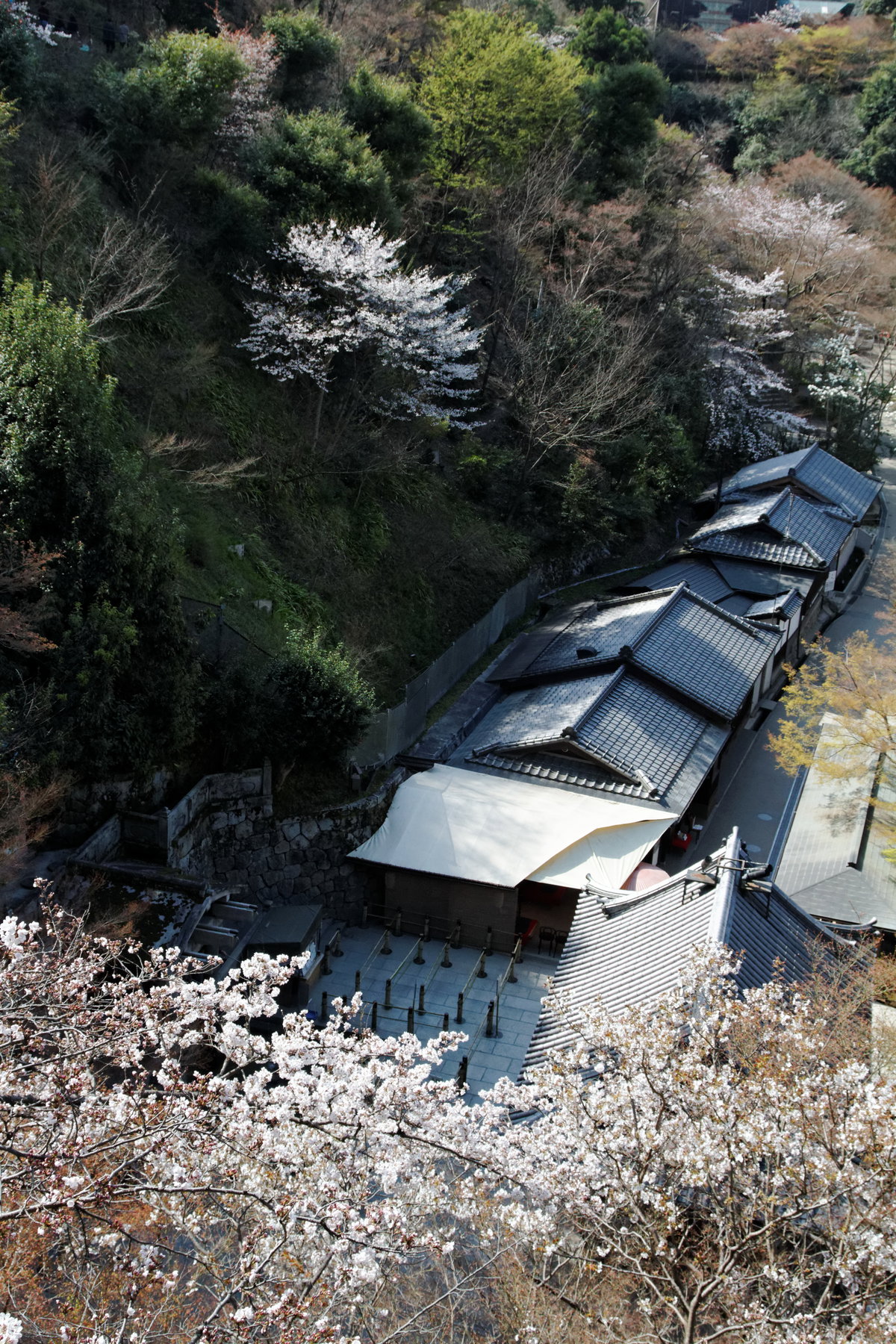 Kiyomizu dera, Kyoto, Japan, 2011
