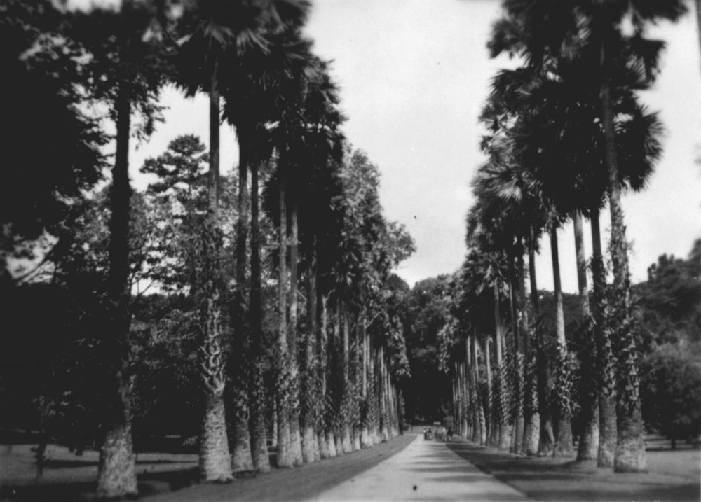 EU: Stadsgezicht Colombo, Ceylon (697a140c) (1940), Colombo, Sri Lanka, 1940