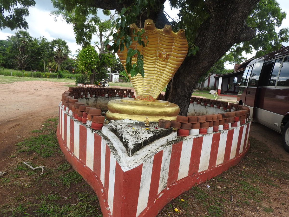Kathiresan koil-2-anuradhpura road-Sri Lanka, Anuradhapura, Sri Lanka, 2019