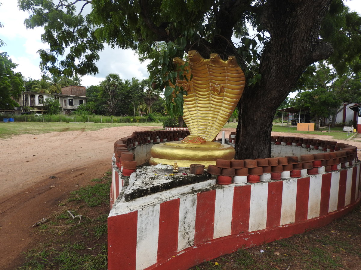 Kathiresan koil-1-anuradhpura road-Sri Lanka, Anuradhapura, Sri Lanka, 2019