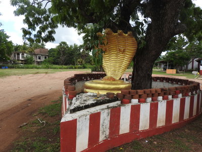 Kathiresan koil-1-anuradhpura road-Sri Lanka, Anuradhapura, 2019