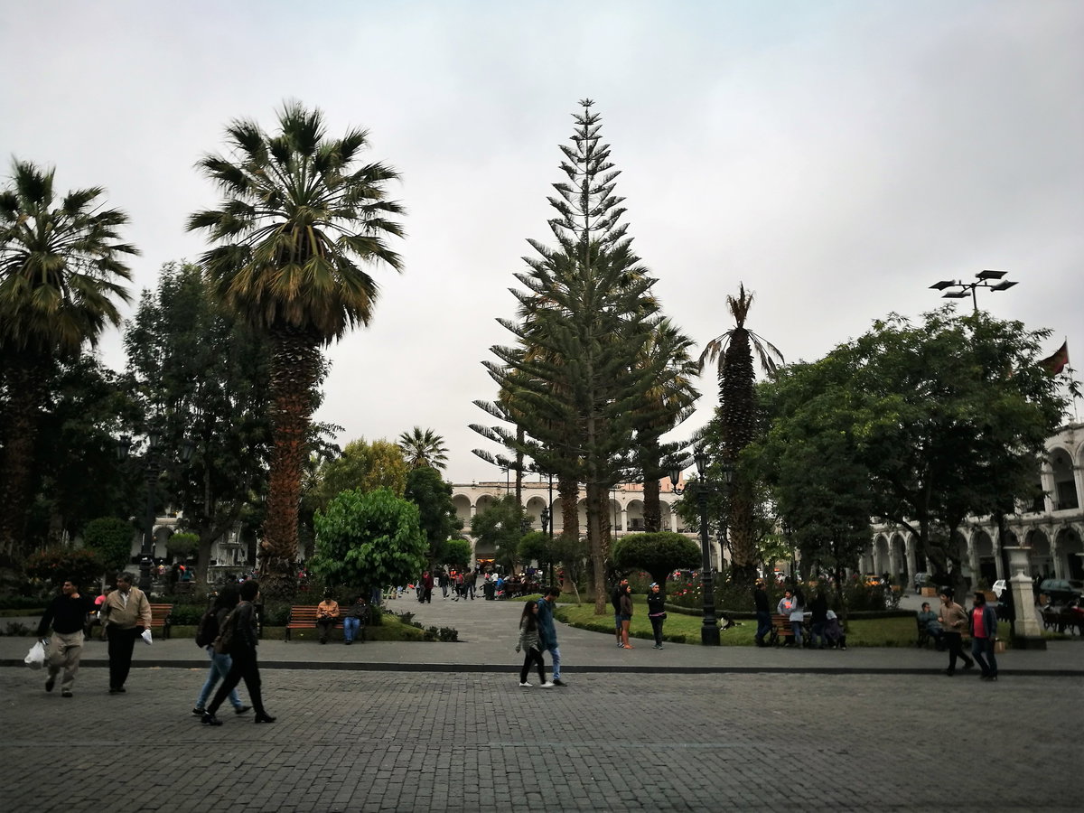 Jardins de la Plaza de Armas d'Arequipa05, Arequipa, Peru, 2017