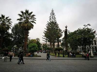 Jardins de la Plaza de Armas d'Arequipa05, Arequipa, 2017