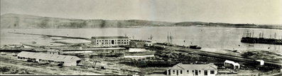 Dunedin's 1st station, Dunedin, 1874