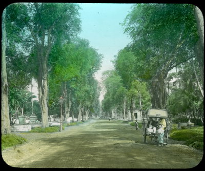 EU: Batavia (Jakarta), Indonesien. Allee mit breitem Fahrweg, rechts einheimischer Junge an einem Dos-à-dos-Einspänner ("Eseltaxi") mit Touristen der Hapag (1911), Jakarta, 1911
