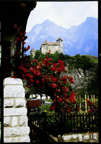 EU: Balzers: Burg Balzers, hinter Rosenstrauch (1974) [1], Balzers, 1974