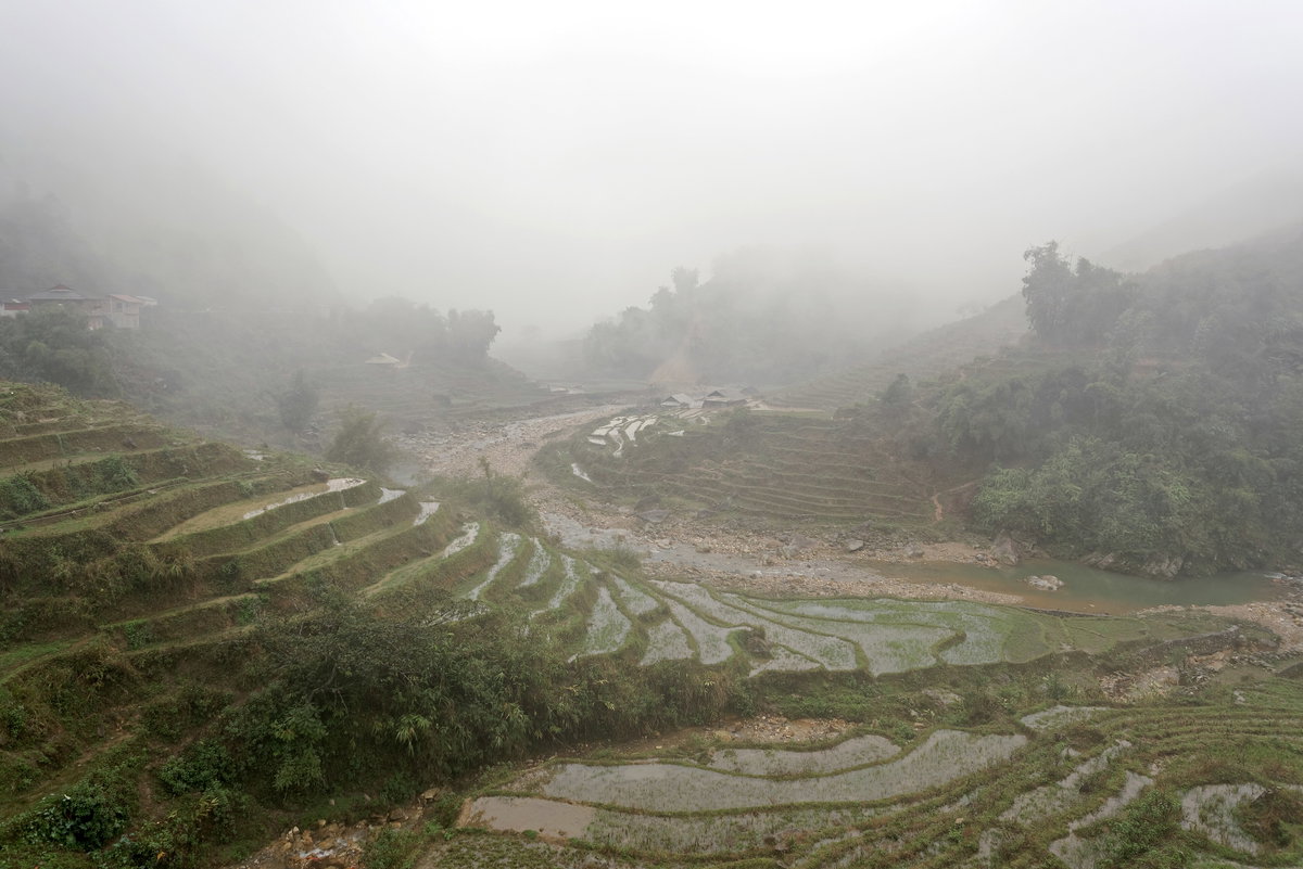 Paddy fields in Lào Cai, Sa Pa, Vietnam, 1050, Sa Pa, Vietnam, 2024