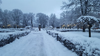 Tallinn, Tallinn, 2022