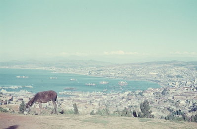 EU: Wereldreis 1960 van Smaldeel 5. Uitzicht over de baai en de haven. (1960), Valparaíso, 1960